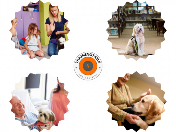 Therapy Dog Training