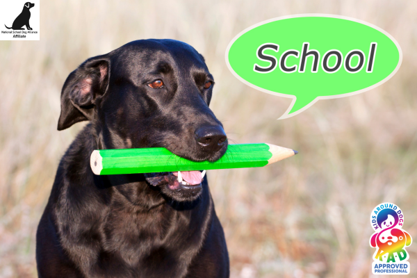 School Dog Assessment
