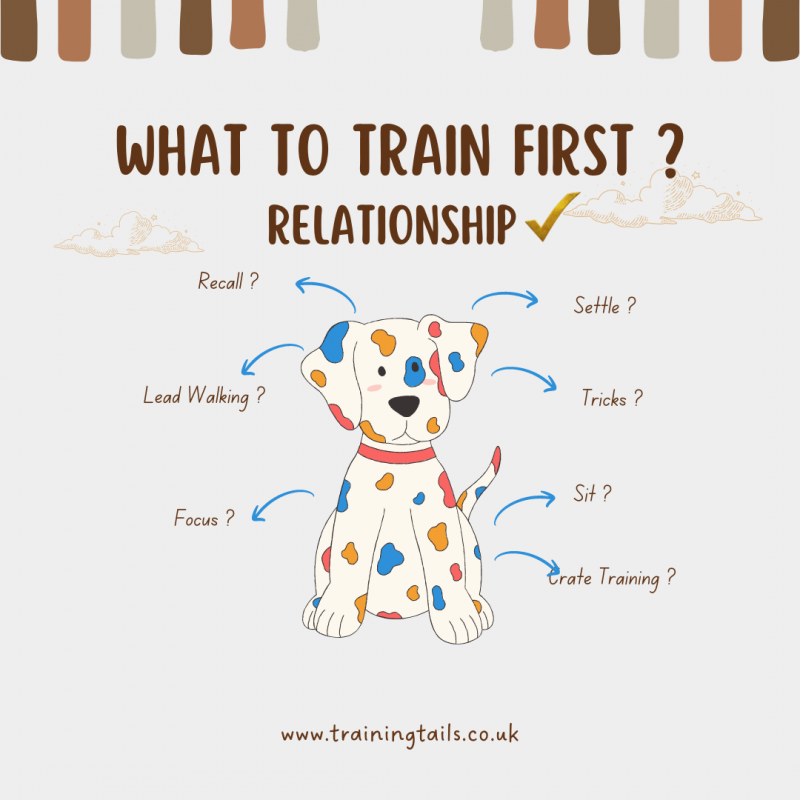 What to train first ?