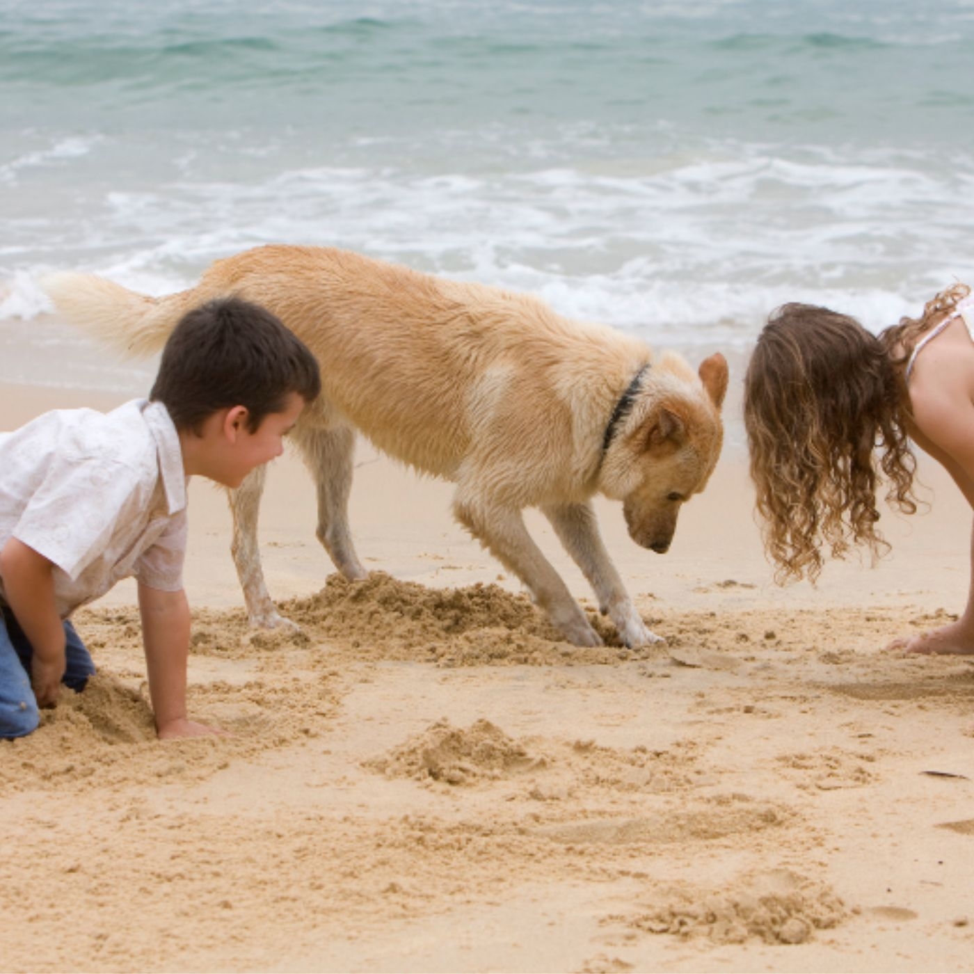 Kids Around Dogs